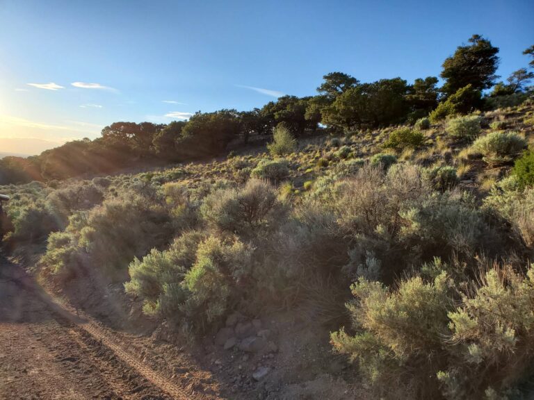 Days 1 & 2: The Driveway