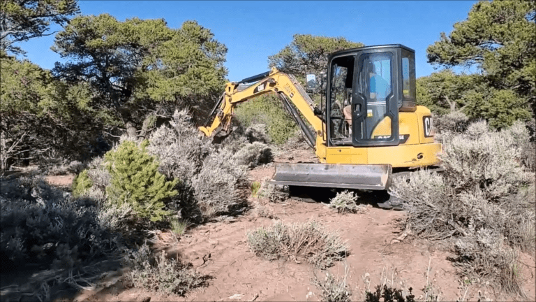 Days 5 & 6: Clearing the drive & Exploratory dig for septic