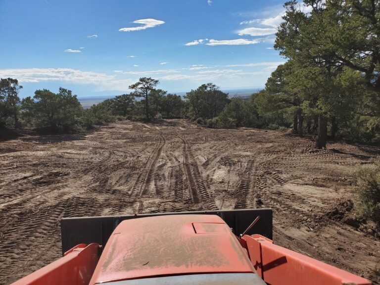 Days 19 – 26: Destruction before construction